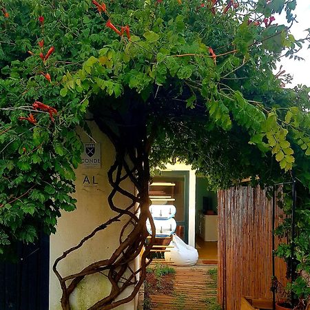Villa Conde Surf Camp - Junto Ao Mar - Entire Pvt House Vila do Conde Exterior foto