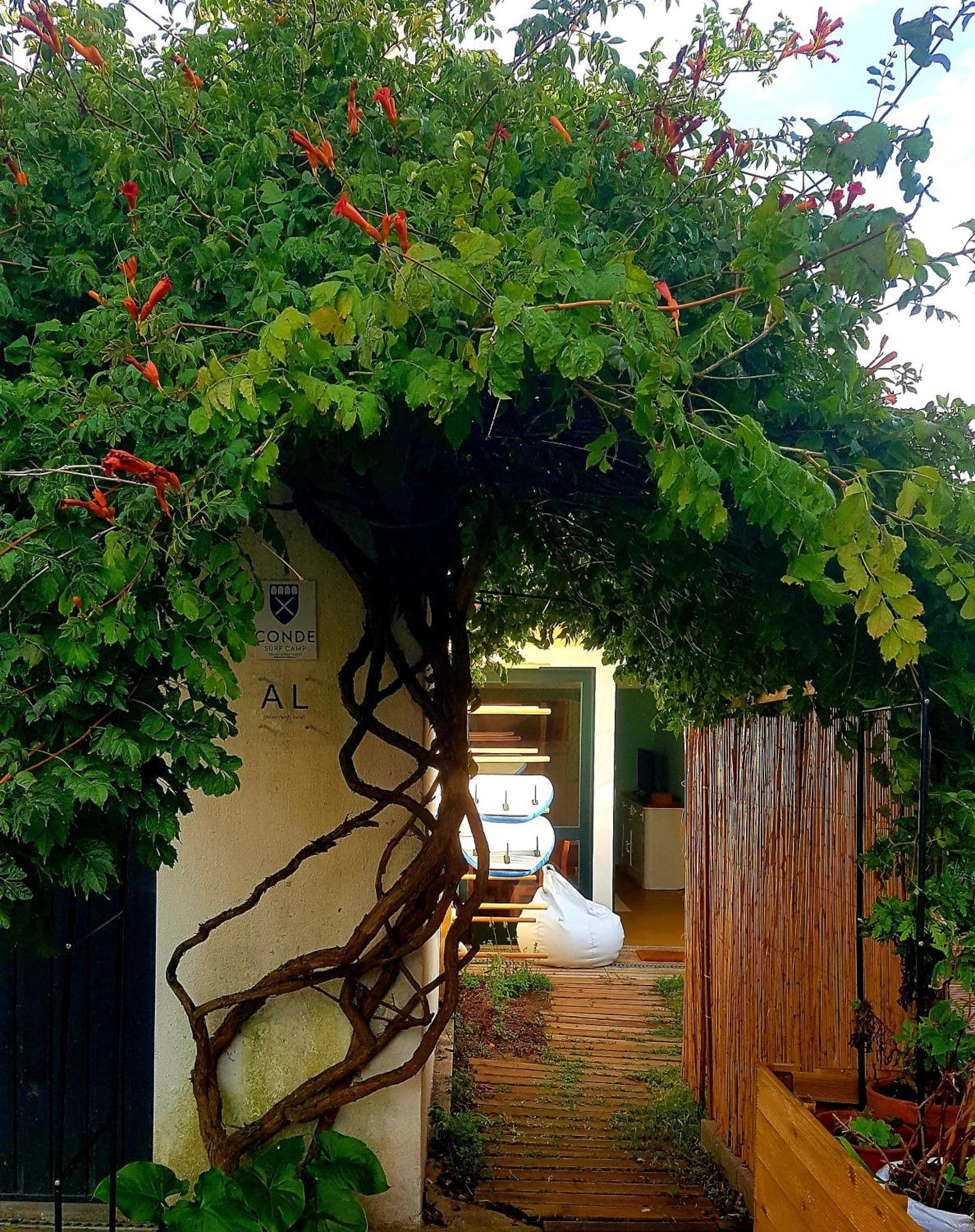 Villa Conde Surf Camp - Junto Ao Mar - Entire Pvt House Vila do Conde Exterior foto